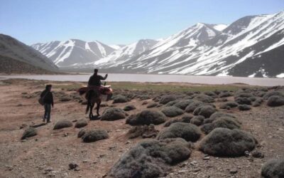 Apunts sobre la Geografia Física del Marroc (II): l’Atles Marroquí
