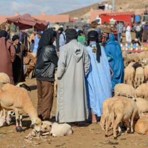 Marroc Tanazuft, el Sud del Sud